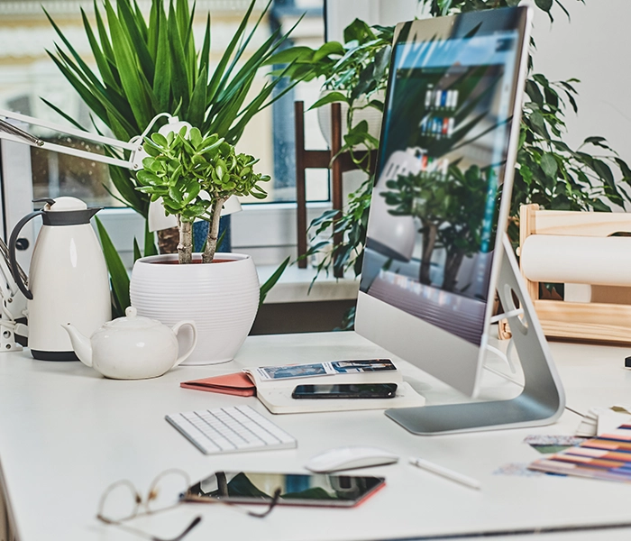 Web Tasarım ve Yazılım Hizmetleri